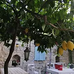 Kaktueshan