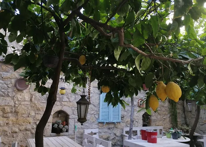 Kaktueshan Hotel *