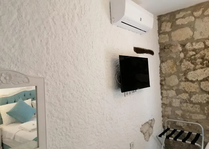 Kaktueshan Отель