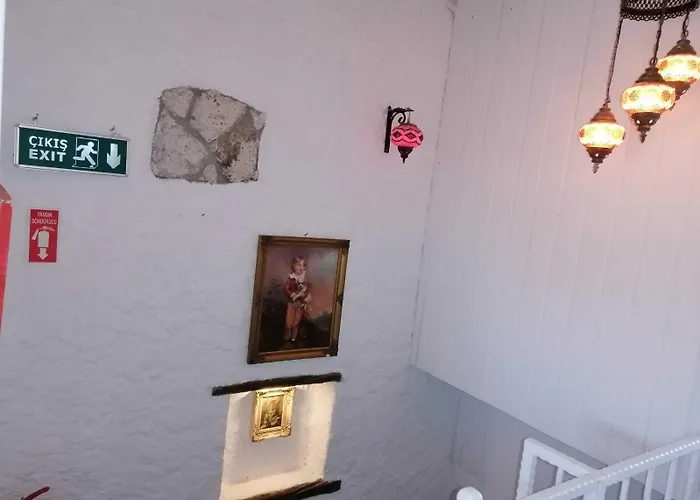 Отель Kaktueshan