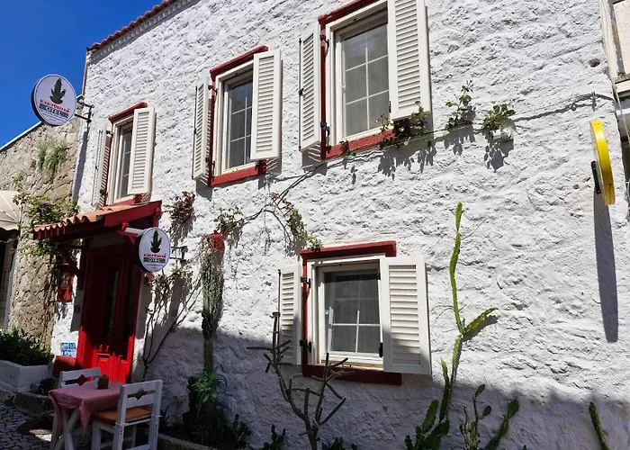 Kaktueshan Hotel