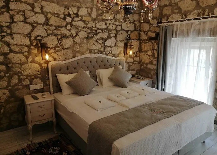 Hotel Kaktueshan *