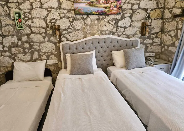 Kaktueshan Hotel