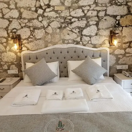 Kaktueshan アラカティ