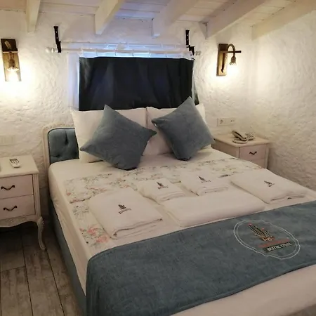 Kaktueshan ホテル