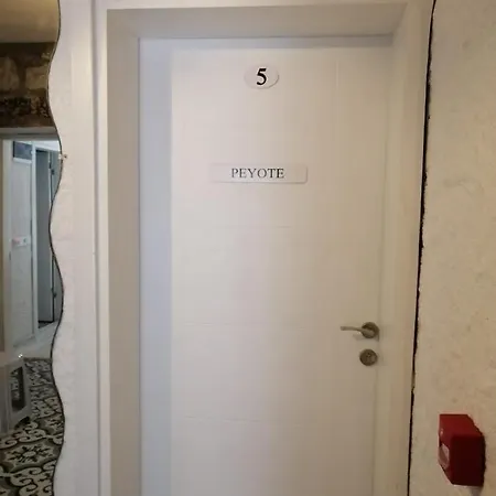 Kaktüshan Butik