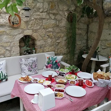 Kaktueshan מלון *