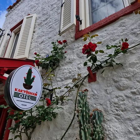 מלון Kaktueshan אלאקאטי